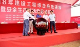 阜阳最新爆料深圳新闻,揭秘深圳最新爆料背后的故事”