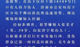 济南负面新闻爆料案件最新,官方调查启动