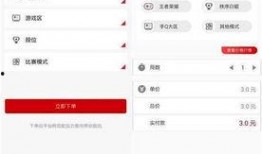 王者陪玩爆料网站大全最新,揭秘最新陪玩平台，助力玩家畅享游戏时光