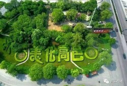 石家庄高邑爆料事件最新,揭秘石家庄最新社会热点背后的真相