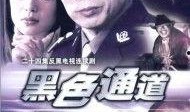 西藏警察爆料案件最新,最新案件背后惊心动魄的侦破历程