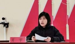 魏县最新爆料新闻报道,揭秘当地热点事件背后的真相
